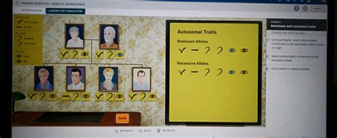 Wards Genetics Human Inheritance Lab Activity Answers