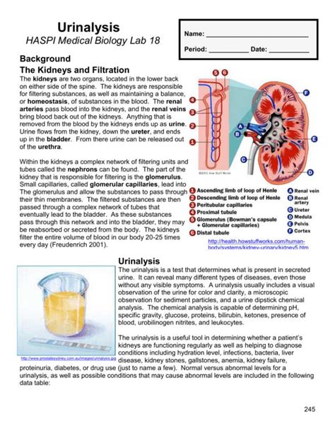 Read Wards Simulating Urinalysis Lab Activity Answer Key 