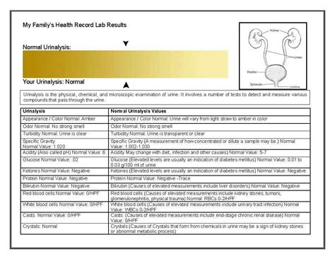 Download Wards Simulating Urinalysis Lab Activity Answers 