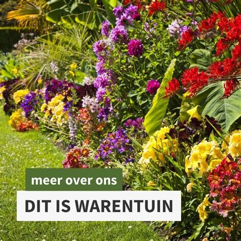 warentuin review