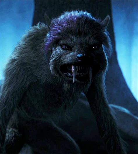 Warewolf Or Werewolf