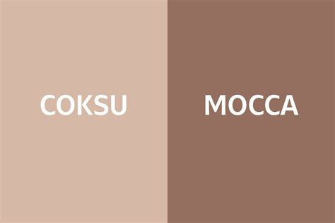 Warna Khaki Dan Coksu  Perpaduan Warna Coksu Coklat Susu Untuk Gamis Dan - Warna Khaki Dan Coksu