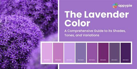 Warna Lavender  Lavender Color Shades Tones Variations Of Lavender Colour - Warna Lavender