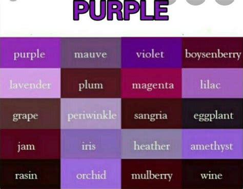 Warna Lilac Itu Seperti Apa Ya Warna Taro Itu Seperti Apa - Warna Taro Itu Seperti Apa
