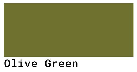 warna olive green