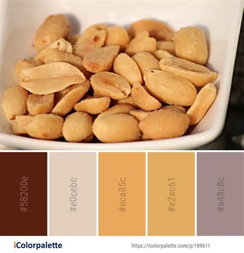 warna peanut
