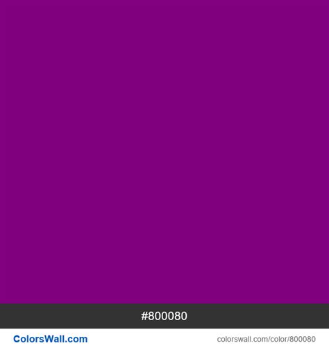 Warna Purple Muda  Purple 800080 Hex Kode Warna Skema Dan Cat - Warna Purple Muda