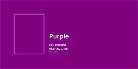 Warna Purple  Purple 800080 Hex Kode Warna Skema Dan Cat - Warna Purple