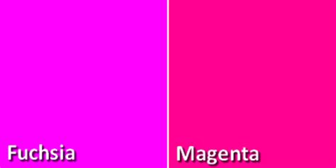 Warna Purple Seperti Apa  Fuchsia Psychology Meaning Color Code Hex Rgb Cmyk - Warna Purple Seperti Apa