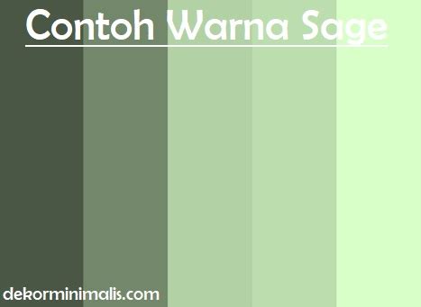Warna Sage Green  Apa Itu Sage Green Warna Baju Yang Sedang - Warna Sage Green