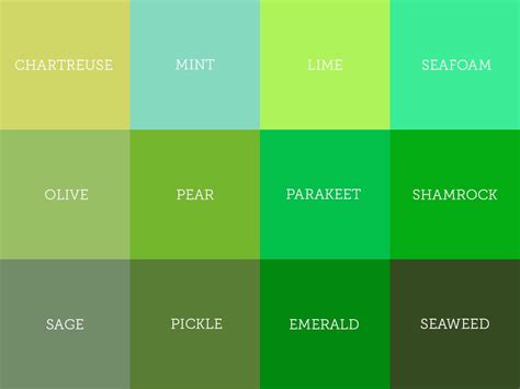Warna Sage Green  Green Types - Warna Sage Green