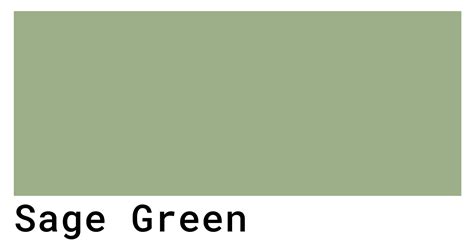 Warna Sage Green  Sage Green Color Palette - Warna Sage Green