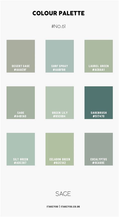 Warna Sage  Mindful Sage Green Color Palette - Warna Sage