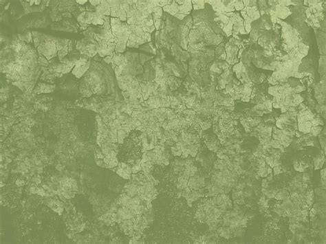Warna Sage  Sage Green Wallpaper Wallpapersafari - Warna Sage