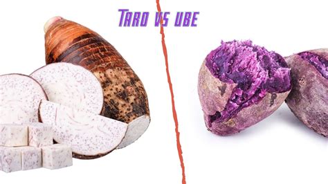 Warna Ungu Taro  Berbeda Dengan Ubi Ungu Ini Dia Talas Ungu - Warna Ungu Taro