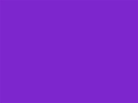 Warna Violet Tua  Papier Peint Polos Warna Violet Bleu Violet Rose - Warna Violet Tua
