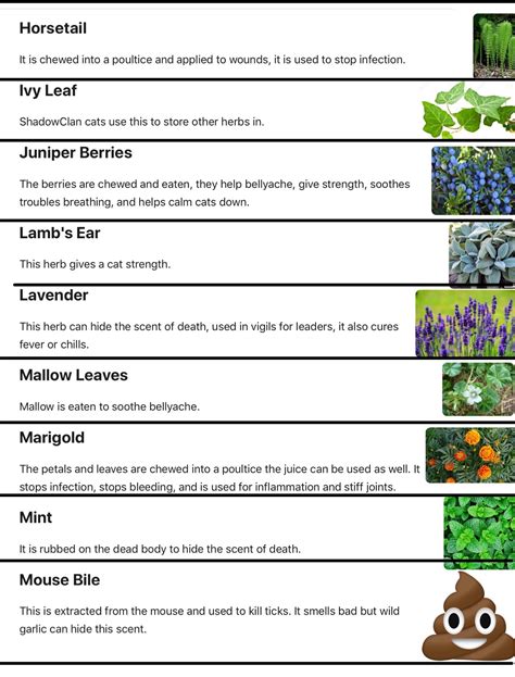 Warrior Cat Herbs