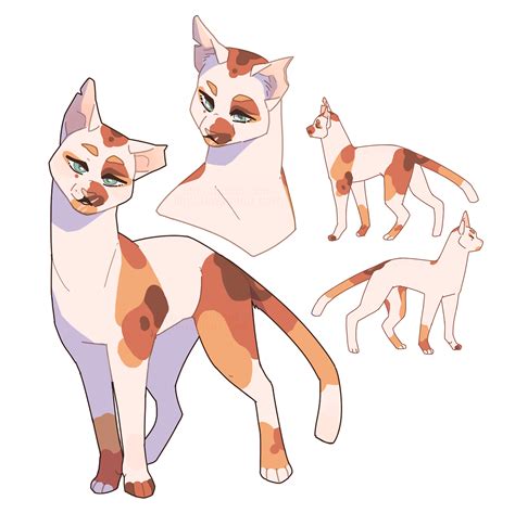 Warrior Cat Oc