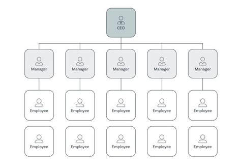 was ist eine organisationsstruktur einfach erklärt