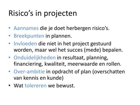 wat is projectrisico