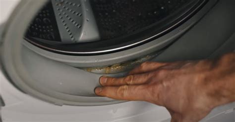 wat is vetluis in wasmachine