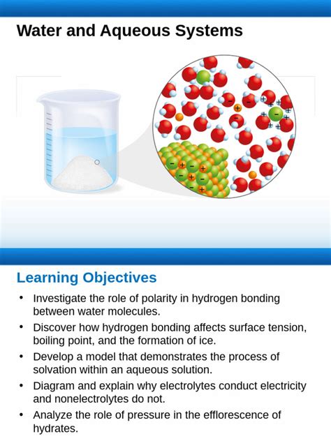 Water And Aqueous Systems Study Guide