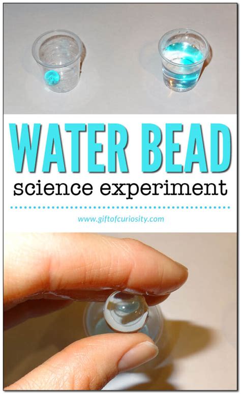 Water Bead Science Experiment Gift Of Curiosity Water Beads Science - Water Beads Science