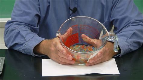 Water Beads Osmosis Experiment Youtube Orbeez Science Experiment - Orbeez Science Experiment