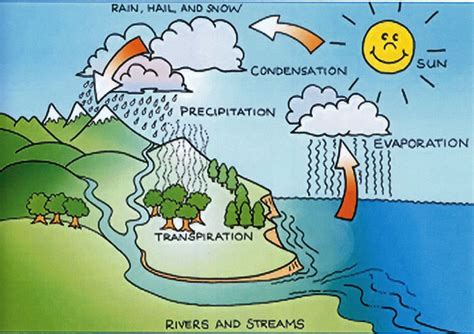 Water Cycle 5th Grade Science   What Is The Water Cycle Nasa Climate Kids - Water Cycle 5th Grade Science