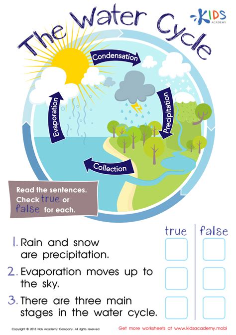 Water Cycle Activity And Worksheets K5 Learning Water Cycle Worksheets For Kindergarten - Water Cycle Worksheets For Kindergarten