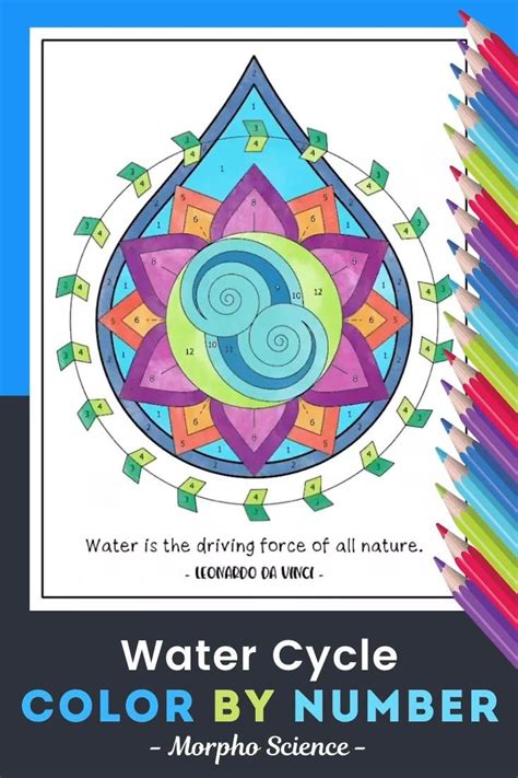 Water Cycle Color By Number Science Color By Color Number Worksheet - Color Number Worksheet