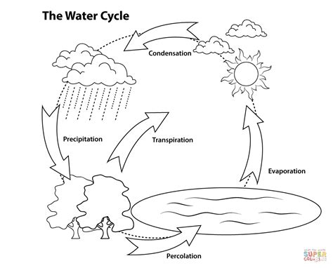 Water Cycle Coloring Worksheet   Free Printable Water Cycle Worksheets For Kids - Water Cycle Coloring Worksheet
