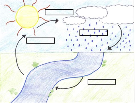 Water Cycle Diagram Worksheet Blank   Water Cycle Worksheets - Water Cycle Diagram Worksheet Blank