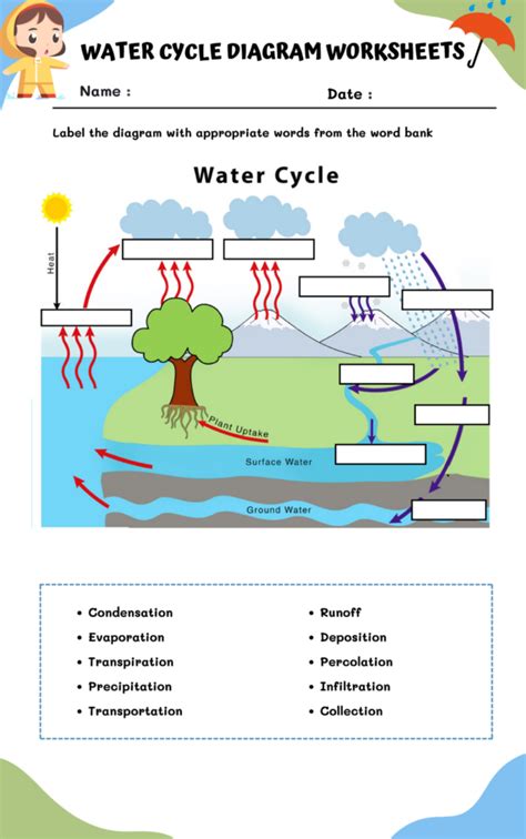 Water Cycle Diagram Worksheets 99worksheets Water Cycle Diagram Worksheet Blank - Water Cycle Diagram Worksheet Blank