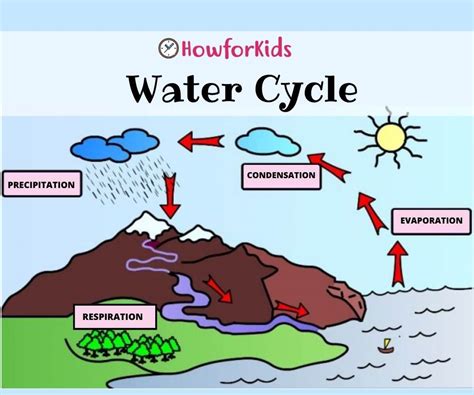 Water Cycle For Kids Grades 3 5 Mini The Water Cycle 4th Grade - The Water Cycle 4th Grade