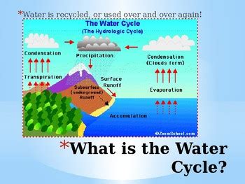 Water Cycle Fourth Grade   Water Cycle Fourth 4th Grade Science Standards At - Water Cycle Fourth Grade