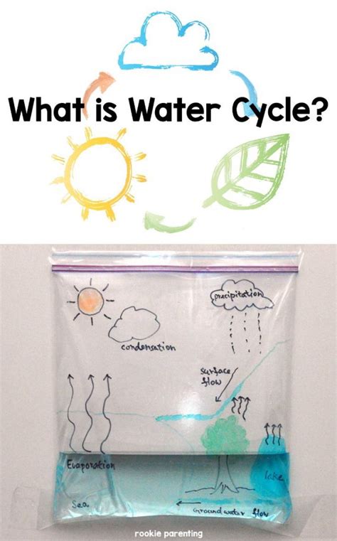 Water Cycle In A Bag Science Experiments Water Cycle Science Experiments - Water Cycle Science Experiments