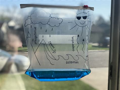 Water Cycle In A Bag Weather Activity For Water Cycle In A Bag Worksheet - Water Cycle In A Bag Worksheet