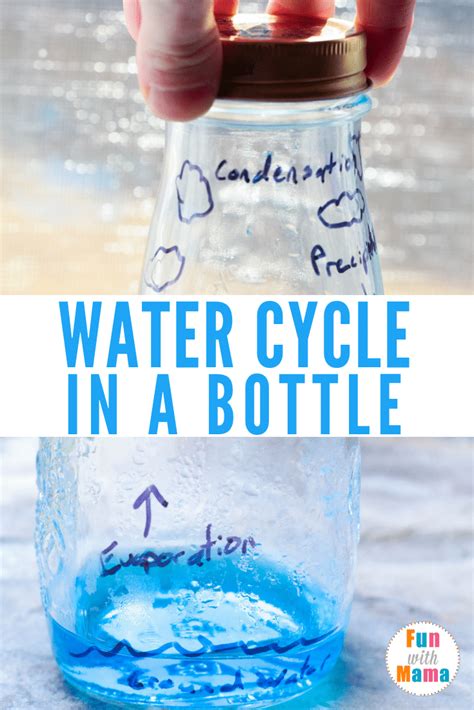 Water Cycle In A Bottle Little Bins For Science Water Bottles - Science Water Bottles