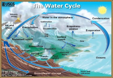 Water Cycle Mongabay Kids Water Cycle For 5th Grade - Water Cycle For 5th Grade