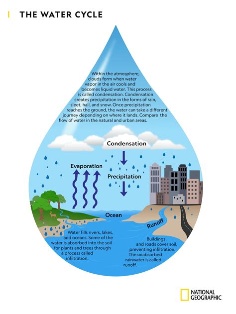 Water Cycle National Geographic Society The Water Cycle 4th Grade - The Water Cycle 4th Grade