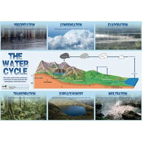 Water Cycle Poster He1438124 He1438124 Physical Geography Blank Water Cycle Diagram To Label - Blank Water Cycle Diagram To Label