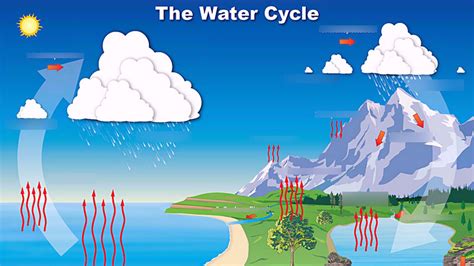 Water Cycle Powerpoint 4th Grade   Pdf Exploring The Water Cycle Teacheru0027s Guide Nasa - Water Cycle Powerpoint 4th Grade