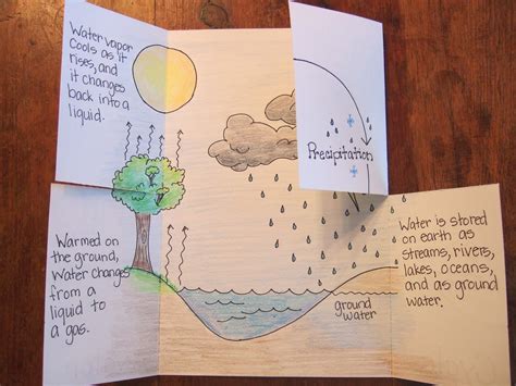 Water Cycle Project 5th Grade Science Water Cycle - 5th Grade Science Water Cycle