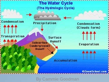 Water Cycle Unit Powerpoint And Interactive Notes 4th Water Cycle Powerpoint 4th Grade - Water Cycle Powerpoint 4th Grade