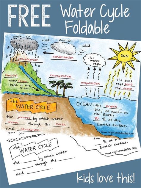 Water Cycle Unit Worksheets Notebook Pages Amp Activities Worksheet On Water Cycle - Worksheet On Water Cycle