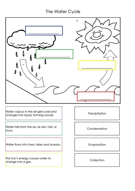 Water Cycle Worksheet Middle School Belfastcitytours Com Water Cycle Comprehension Worksheet - Water Cycle Comprehension Worksheet