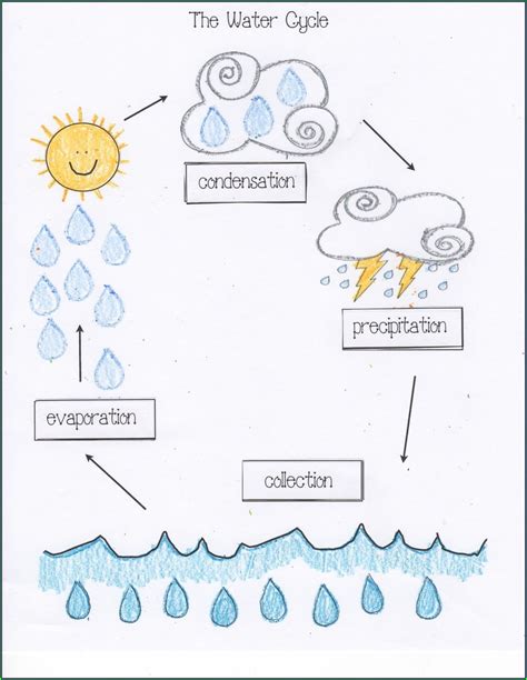 Water Cycle Worksheets Bogglesworldesl Com Water Cycle Worksheet Answers - Water Cycle Worksheet Answers