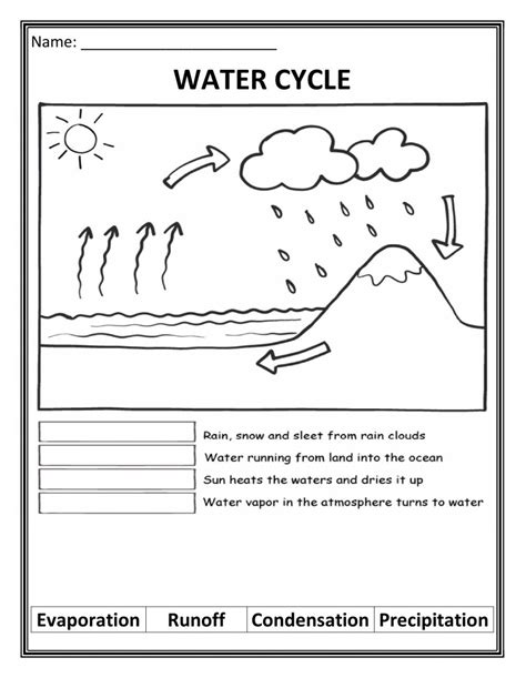 Water Cycle Worksheets Hydrological Cycle Worksheet - Hydrological Cycle Worksheet