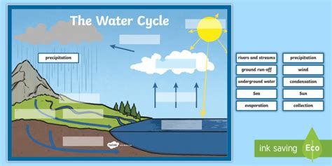 Water Cycle Worksheets Teaching Resource Twinkl Usa The Water Cycle Worksheet Answer Key - The Water Cycle Worksheet Answer Key
